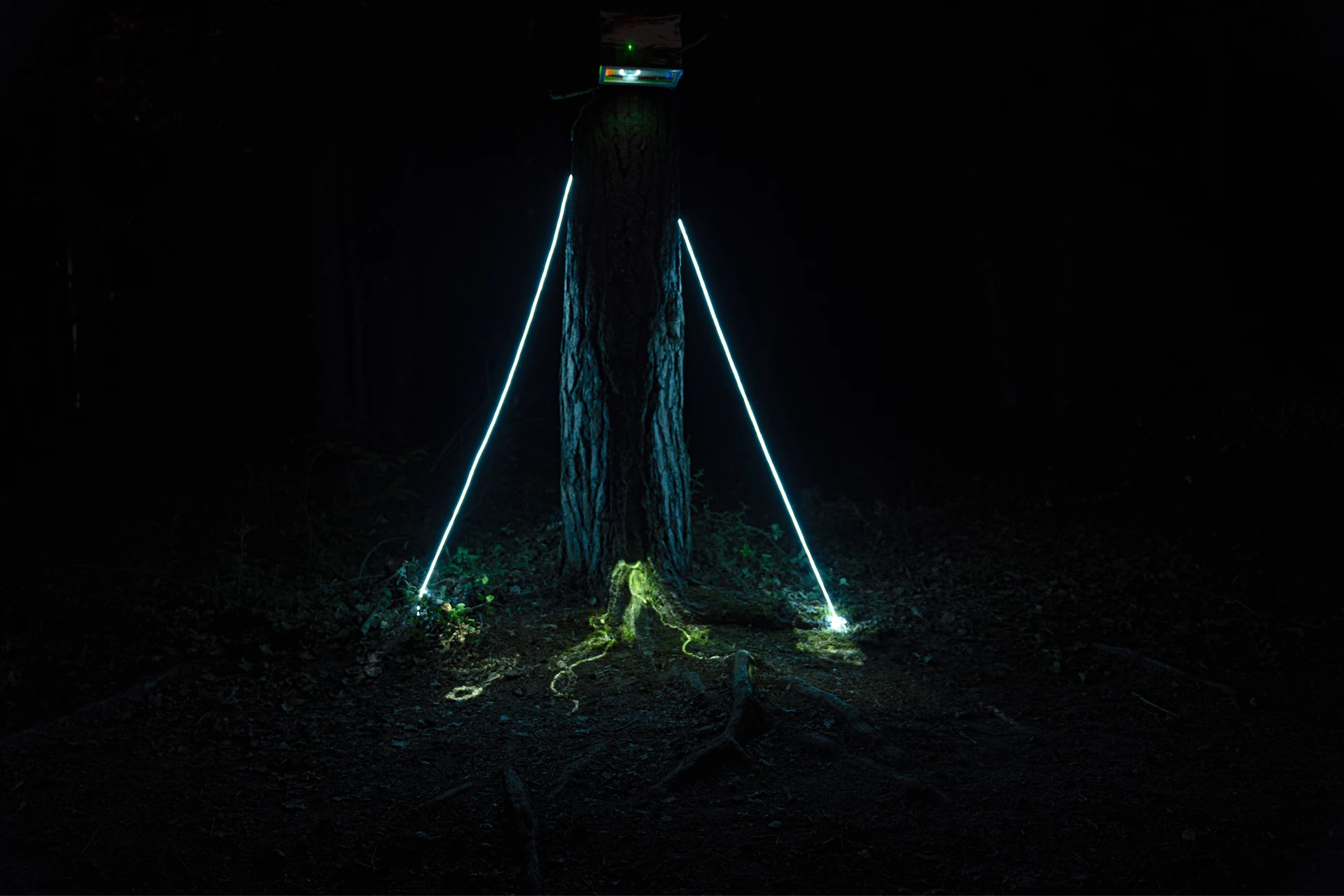 Trames noires (Machines Studio)