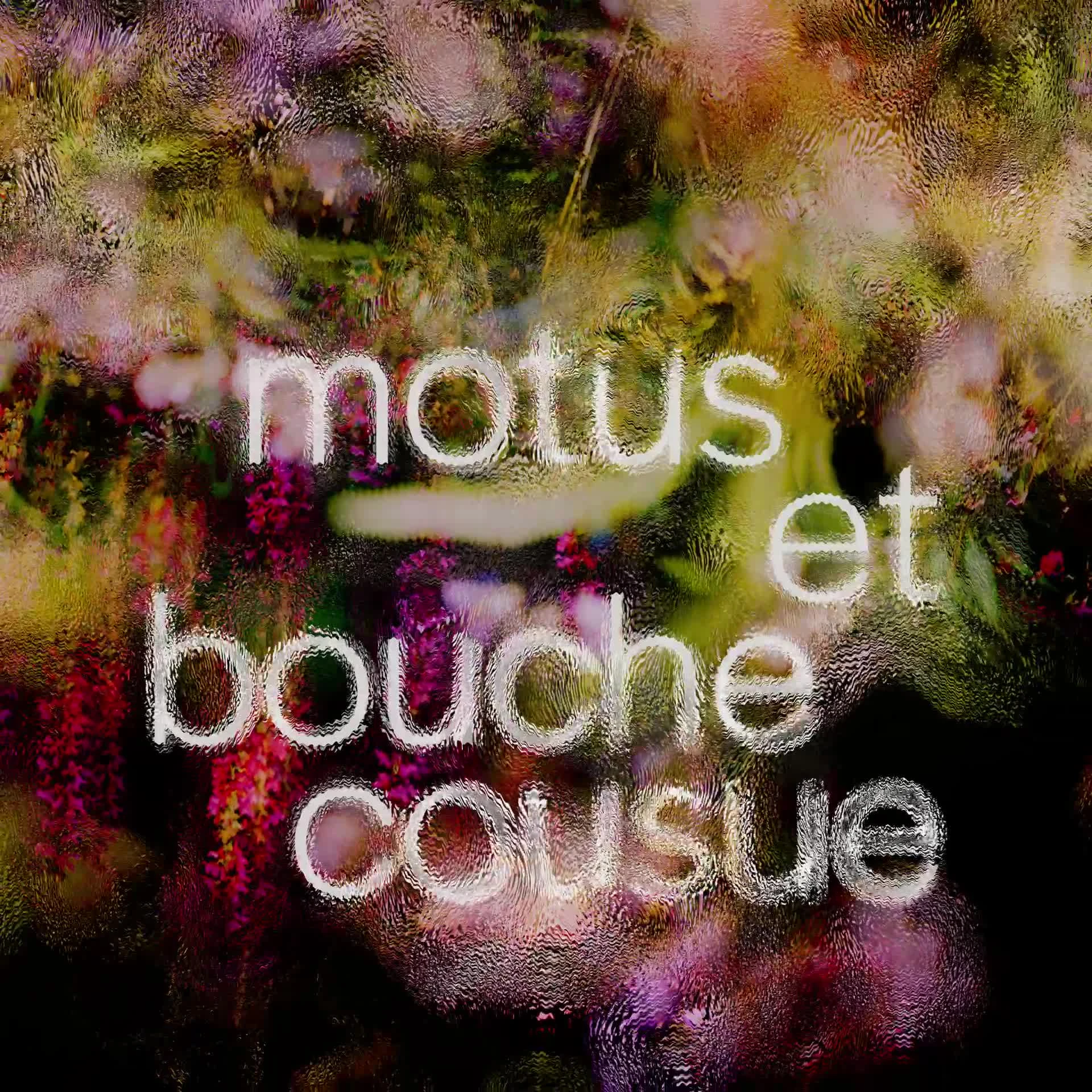 Nuit de la Radio 2024 (Machines Studio)